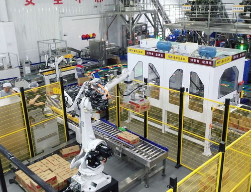 鹽津鋪子董事長張學武 以匠心與遠見，鑄就中國卓越食品制造企業